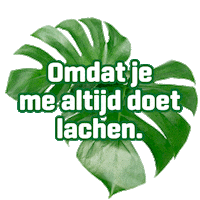 Friends Flowers Sticker by Groen van bij ons