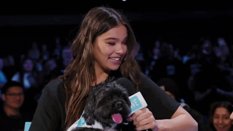 Hailee Steinfeld GIF by ABC Network