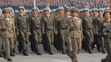 North Korean Air Force
