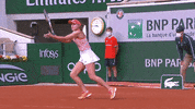 American Reaction GIF by Roland-Garros