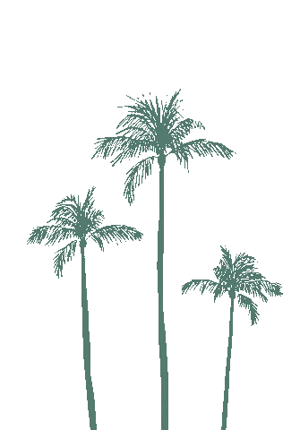 gotobrandgirl beach coconut palm trees island life Sticker