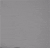 fourfiveseconds GIF by Rihanna