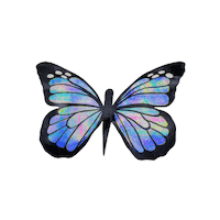 Butterfly Sticker