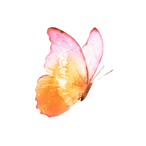 Butterfly Sticker by Clean Beauty Collective