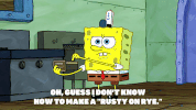 season 9 GIF by SpongeBob SquarePants