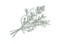 Wedding Flower Sticker by The Autumn Dog