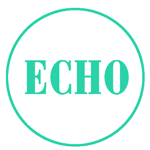 echocommunication giphyupload event echo pressday Sticker