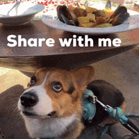 Share With Me GIF
