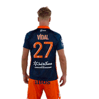 Vidal Sticker by MHSC