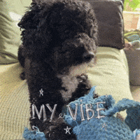 Relaxing Good Vibes GIF