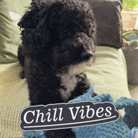 Relaxing Good Vibes GIF