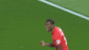 lfc watford GIF by Liverpool FC