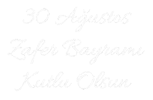 Ataturk Asker Sticker by Miyase