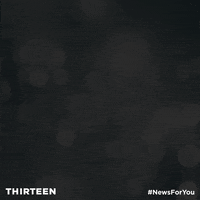 GIF by ThirteenWNET