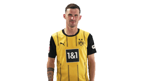 Borussia Dortmund Thumbs Up Sticker by Bundesliga