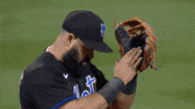 Major League Baseball Sport GIF by MLB