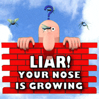 Liar You Lie GIF