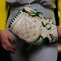 Ncaa Softball GIF by GoDucks
