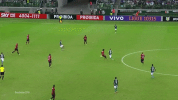 gabriel jesus GIF by SE Palmeiras