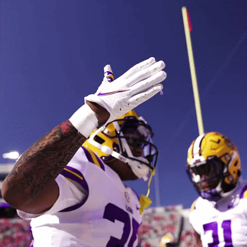 Lsu Football GIF by LSU Tigers