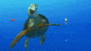 finding nemo animation GIF by Disney Pixar