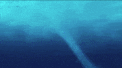 finding dory disney GIF by Disney/Pixar's Finding Dory