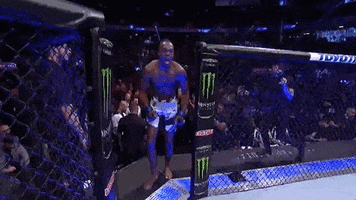 Sport GIF by UFC
