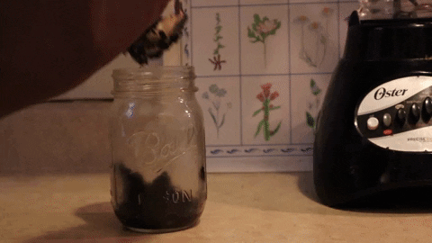 alexismnigro giphygifmaker alexisnigro GIF