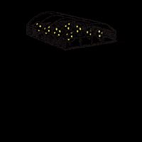 Illustration Lemon GIF