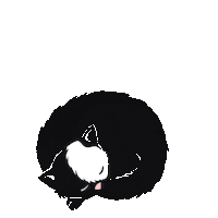 Tired Black Cat Sticker by gobasil