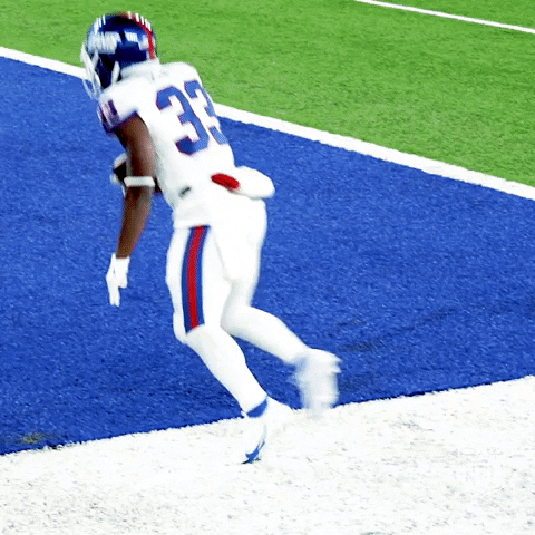New York Giants Football GIF by NFL