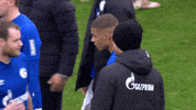 Football Soccer GIF by FC Schalke 04