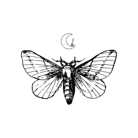 PlanetShack giphygifmaker witch moth green witch Sticker