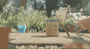 Mountain Bike Animation GIF by Santa Cruz Bicycles
