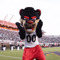 University Of Cincinnati Bearcat GIF by Cincinnati Bearcats