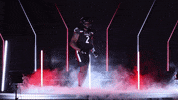 University Of Cincinnati Dancing GIF by Cincinnati Bearcats