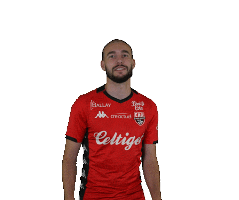 Ligue 2 Football Sticker by EA Guingamp