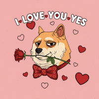 I Love You Flirting GIF by Doge Pound