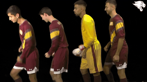 Cuc19 D3Soc GIF by CUCougars