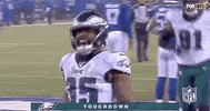 2019 Nfl Football GIF by NFL