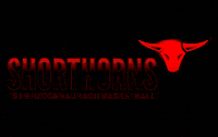 Herzobasket basketball longhorns herzogenaurach shorthorns GIF