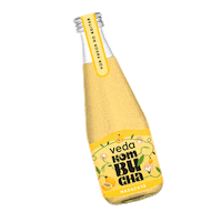 vedakombucha kombuchadrink vedakombucha kombuchamaracuya vedakombuchamaracuya Sticker