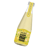 vedakombucha kombuchadrink vedakombucha kombuchagingerbucha vedakombuchagingerbucha Sticker