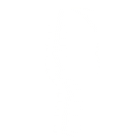 Mondialrio Sticker by Mondial de la Bière Brasil