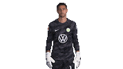 Fail Oh No Sticker by VfL Wolfsburg