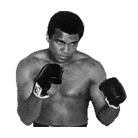 muhammad ali boxing STICKER by imoji