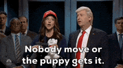 Snl Puppy GIF by Saturday Night Live
