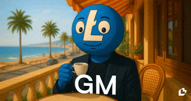 Good Morning Gm GIF by LitVM