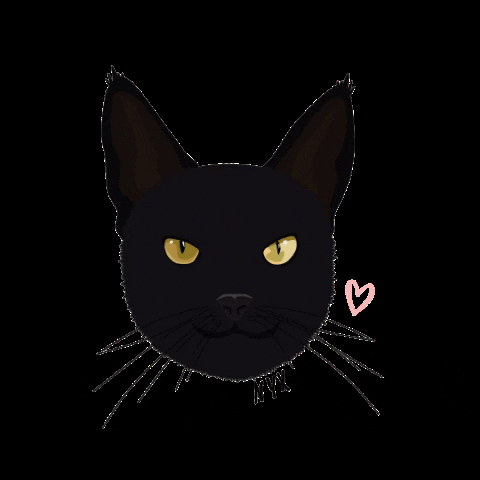 pawtraitsbymrm giphygifmaker black cat nyx nyxchapter GIF