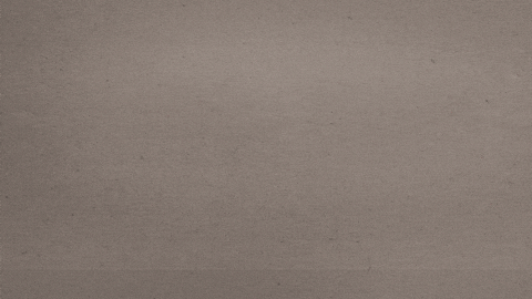 Mpdb GIF by CONNY